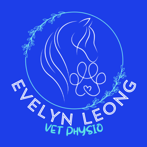 Evelyn Leong Ying